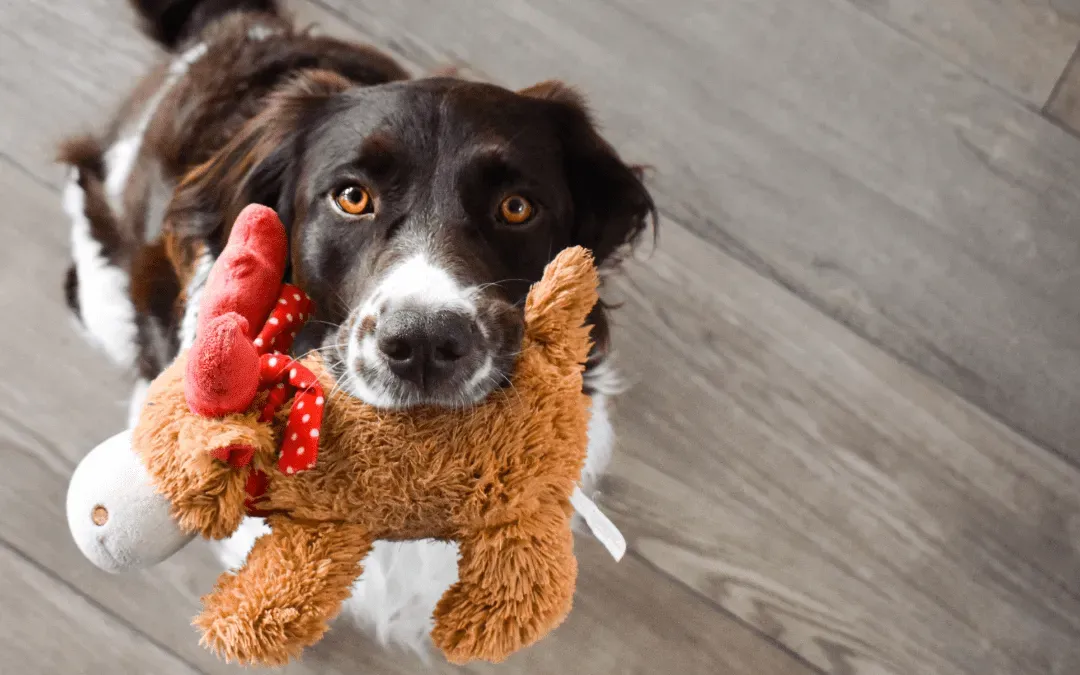 4 Easy DIY Holiday Pet Toys