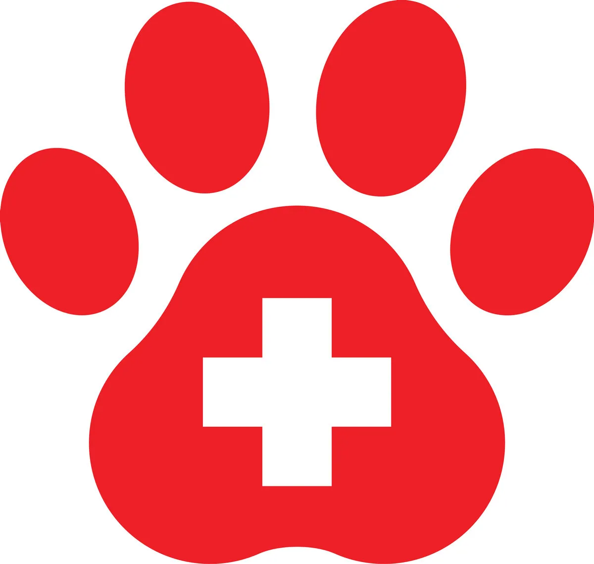 When to Worry: Common Pet Emergencies and What to Do