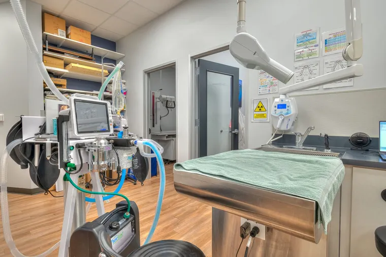 Dental suite