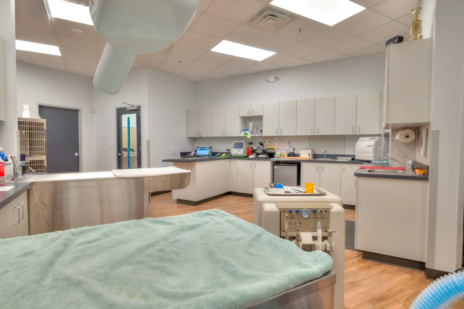 Dental
