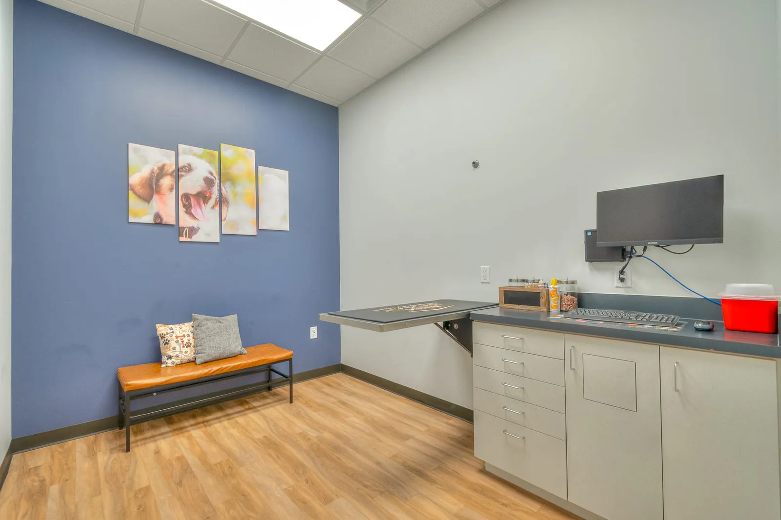 Exam room at Fish Creek Animal Hospital