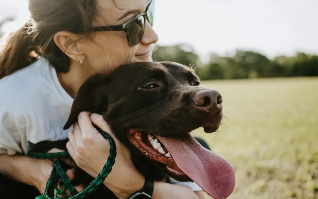 How to Be a Responsible Dog Owner