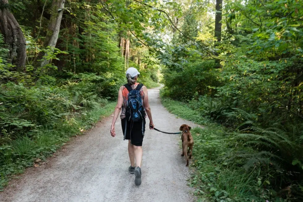 How To Keep Your Dog Safe During Walks