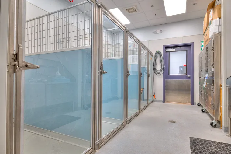 Kennel runs