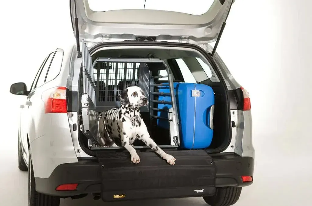 Paws and Passports: The Ultimate Guide to Pet Travel Wellness