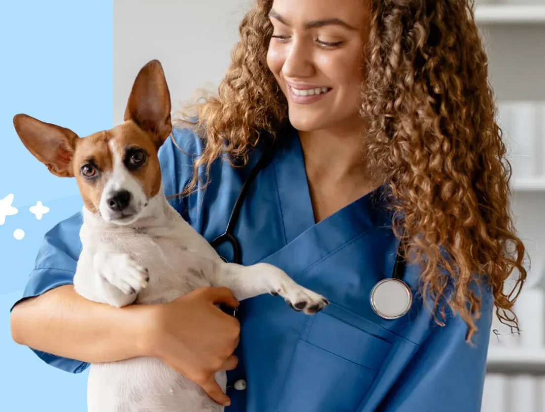 Order your pet’s prescriptions from the Fish Creek online pharmacy