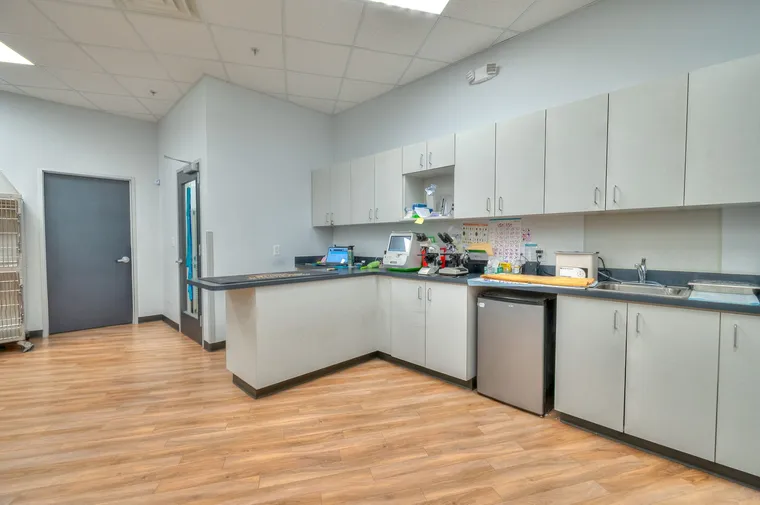 Treatment and prep area