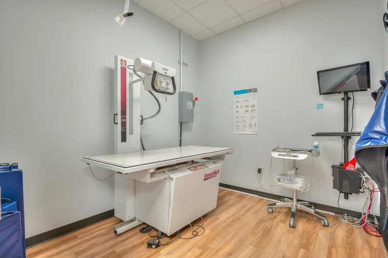 Digital radiography (X-ray)