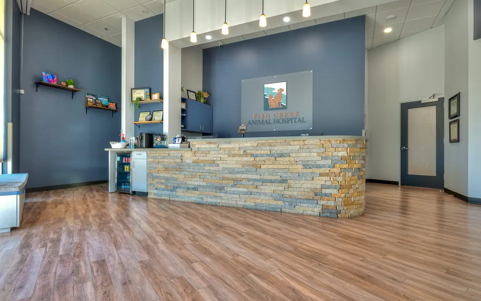 Inside Fish Creek Animal Hospital