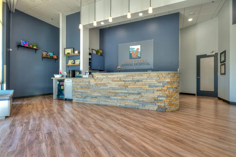 Reception and waiting area