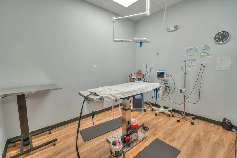 Surgical suite