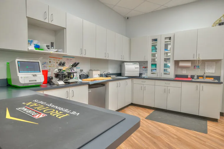 Treatment area