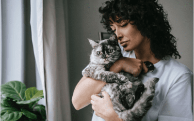 Ways to Celebrate Your Cat during National Cat Lovers Month