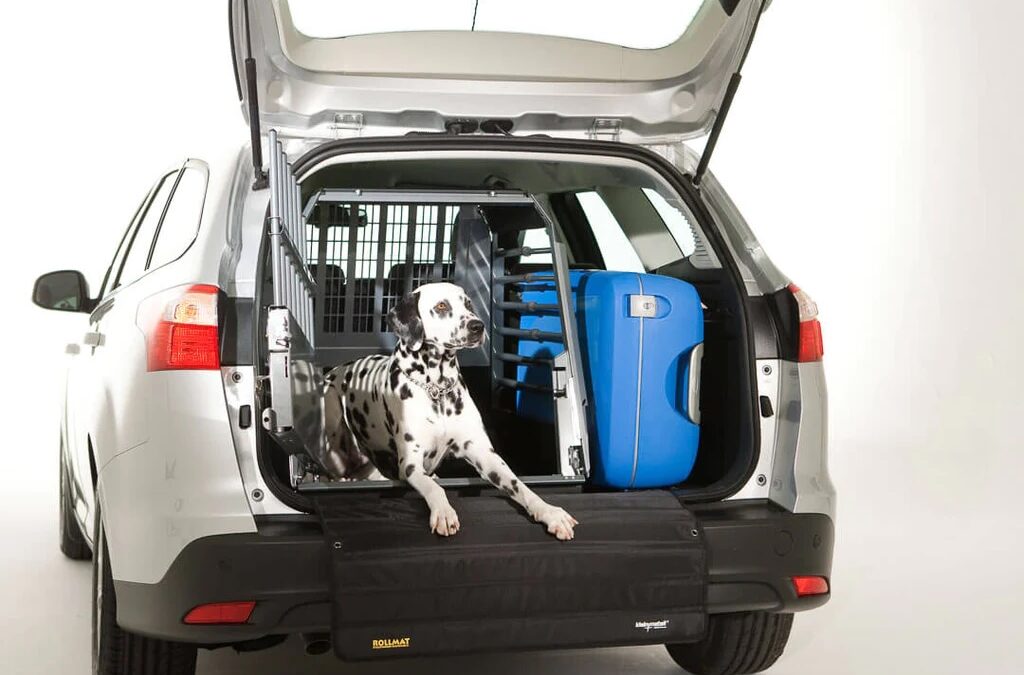 Dalmation in the back of a car sitting in a crate ready to travel
