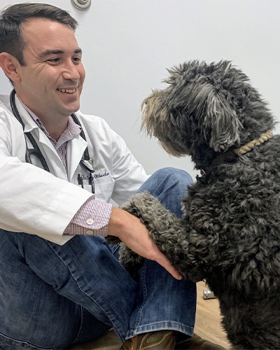 Vet Bonding with Dog